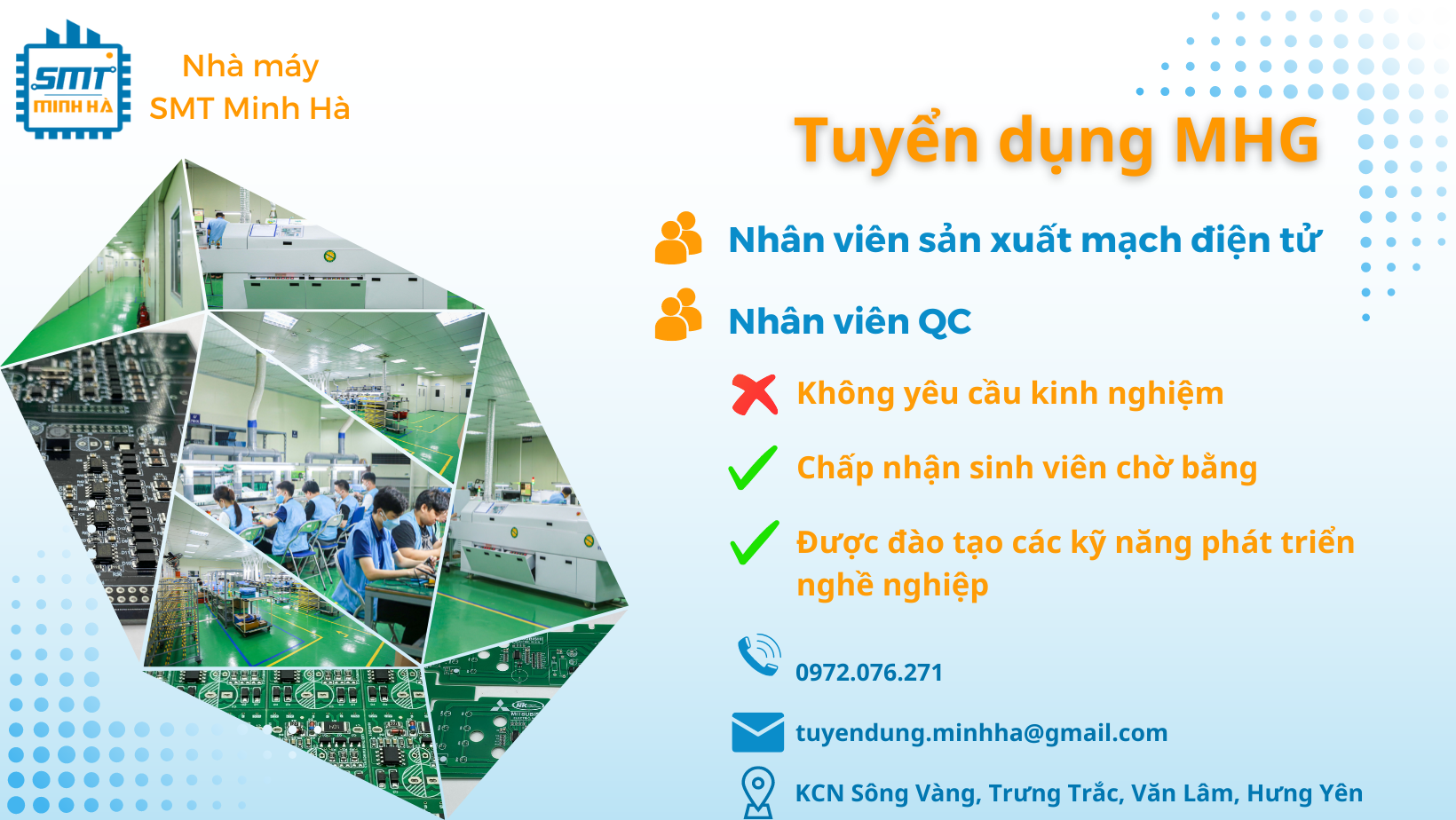 lĩnh vực hoạt động